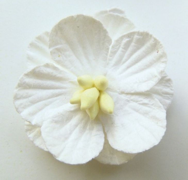 Marianne D Decoration Paper flowers - white 