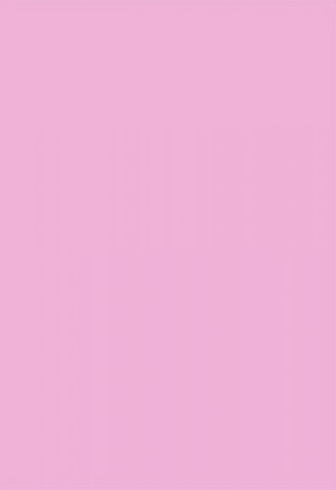 Rubber  vellen 2mm 22x30cm 10 st Licht roze