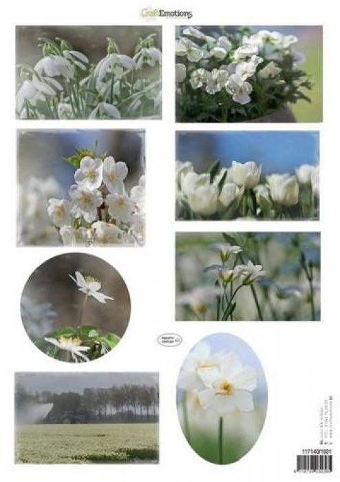 Knipvellen voorjaarsbloemen 1 wit A4 160 grm