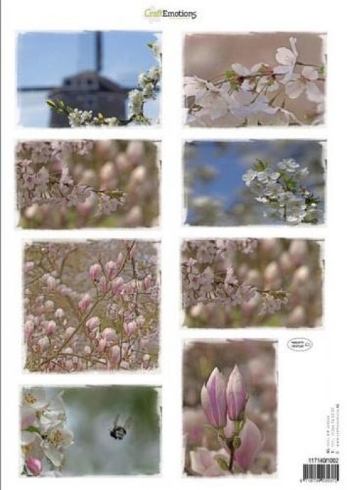 Knipvellen voorjaarsbloemen 2 roze A4 160 grm