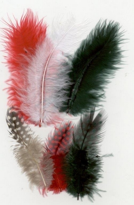 Veren Marabou&guinea Mix Rood Zwart 18 St