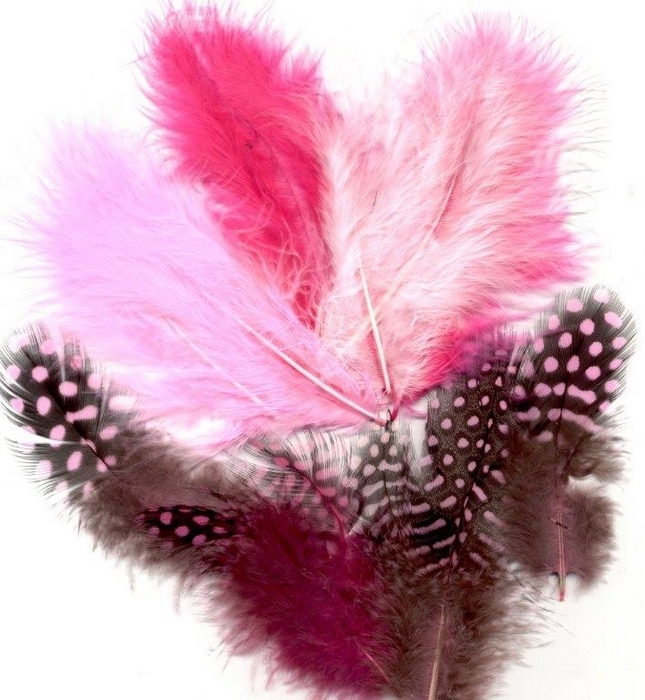 Veren Marabou&guinea Mix Roze 18 St