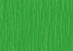 Crepepapier Groen